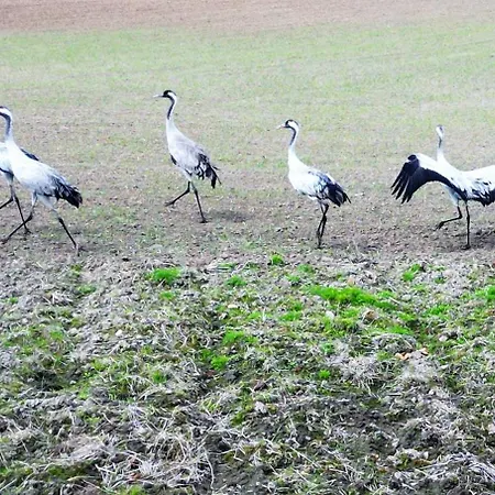 - Widok, Przy Plazy, Aquapark, Parking Podziemny, Winda, Netflix * Ostróda