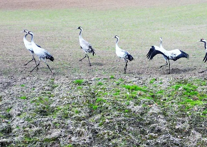 Turystyczna Z Widokiem Na Jezioro * Ostróda